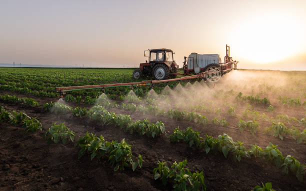 Professional Pest Control in Graysville, AL