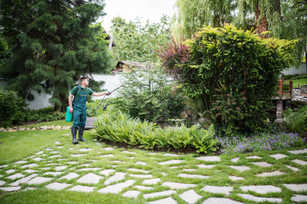 Best Affordable Pest Control Services  in Graysville, AL