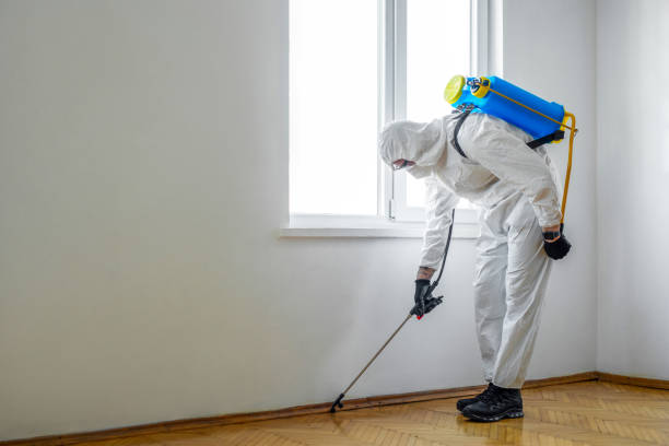 Best Flea Control Services  in Graysville, AL
