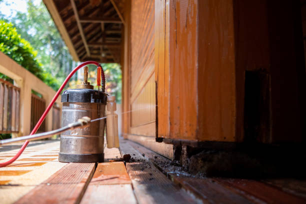 Best Pest Control Treatment  in Graysville, AL