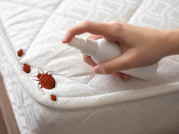 Best Best Pest Control Companies  in Graysville, AL