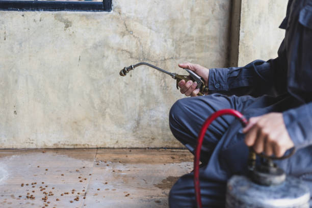 Best Wasp Removal Services  in Graysville, AL